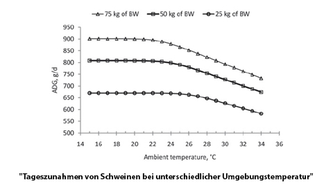 Tageszunahmen von Schweinen bei unterschiedlicher Umgebungstemperatur